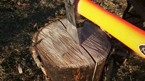 tree stump for splitting wood